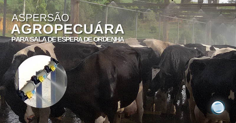 Aspersão Agropecuária para sala de espera de ordenha